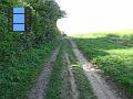 2010-05-03 05 M